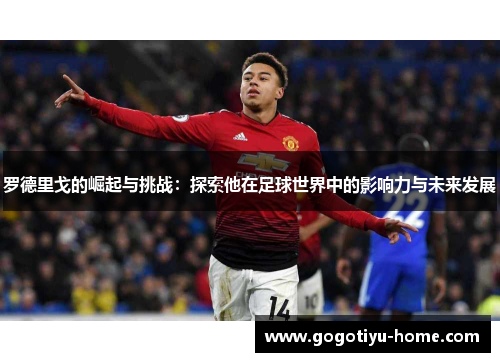 罗德里戈的崛起与挑战：探索他在足球世界中的影响力与未来发展